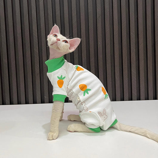 Ropa Térmica para Gatos Sin Pelo - Conjunto Completo Antiestático