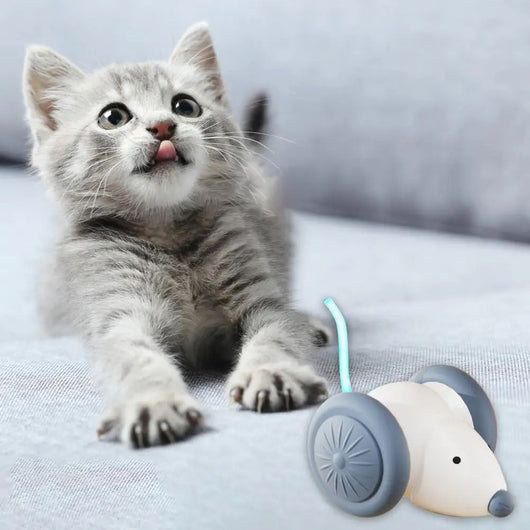 White and grey electric mouse cat toy with large wheels, a glowing blue tail, and a USB charging cable. - Image 20