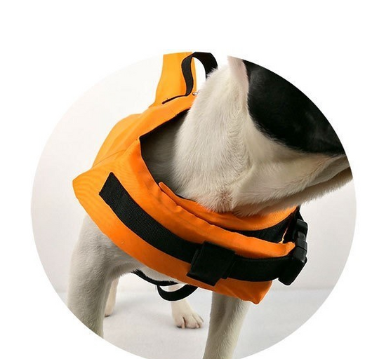 Chaleco Salvavidas para Perros - Traje de Baño Protector para Mascotas - Image 6