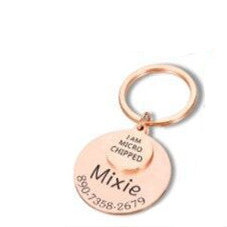 Placa de Identificación Personalizada para Mascotas - Image 5