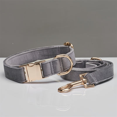 Collar y Correa para Perro Verde Menta - Image 7