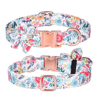 Juego de Collar y Correa Personalizado para Mascotas - Image 45