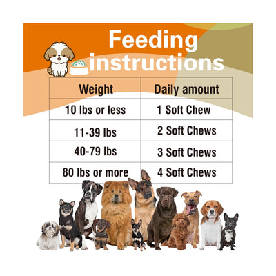 Youmile Multivitamin Chews for dogs, a white jar with an orange label, offering multifunctional health support for joints, skin, immunity, heart, gut, and antio - Image 5