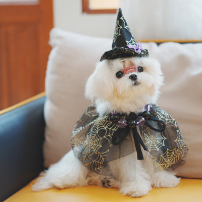 Disfraz Halloween para Mascotas - Sombrero Araña y Capa para Perros y Gatos