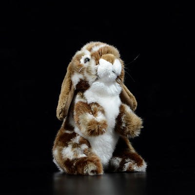 Peluche Adorable Conejo Holandés - Image 3