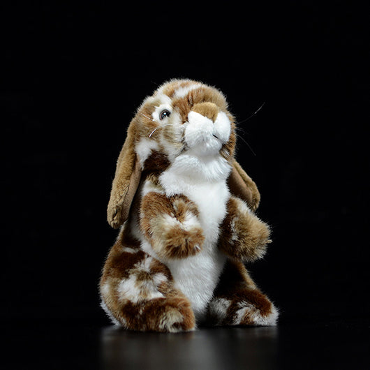 Peluche Adorable Conejo Holandés - Image 3