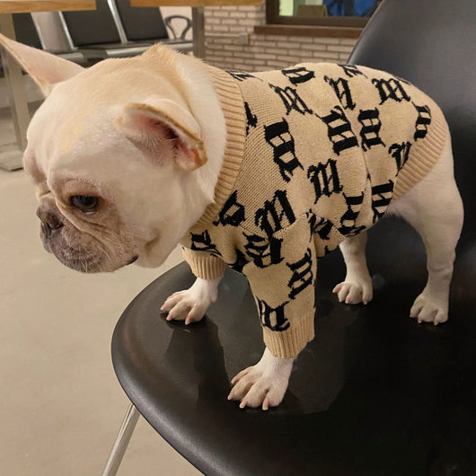 Suéter para Perro Schnauzer Teddy Aero Bull - Diseño Viral de Celebridad Internet - Image 5