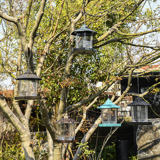 Comedero para Pájaros Colgante de Exterior - Image 4