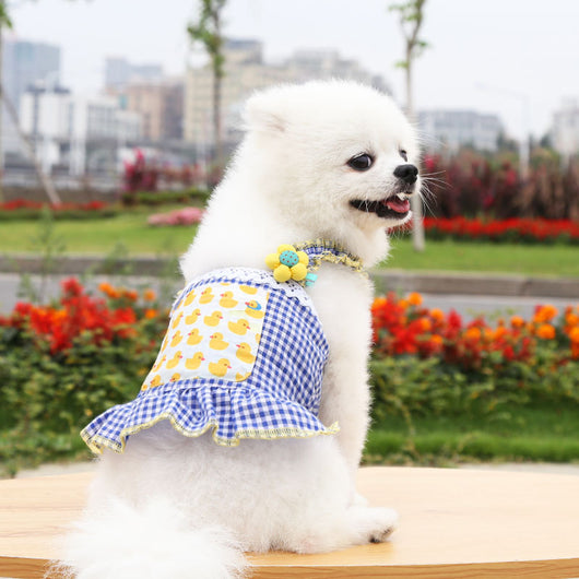 Falda Suspensor Elegante para Gatos - Ropa Delgada y Cómoda - Image 9