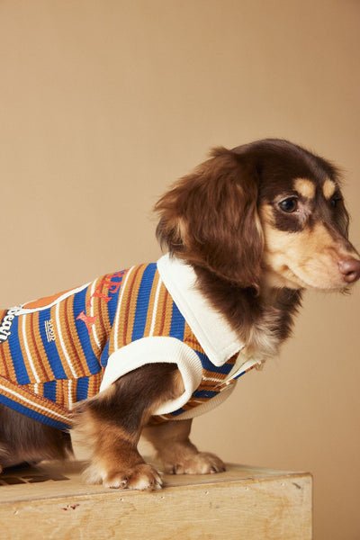 Polo sin Mangas a Rayas para Perros - Chaleco Elegante y Cómodo - Image 22