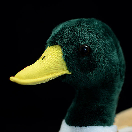 Peluche Pato Mallard Adorable - Image 3