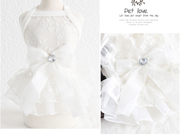 Vestido de Encaje para Mascotas Pequeñas - Falda de Boda Elegante - Image 16