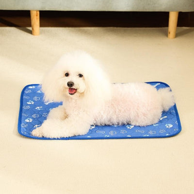 Pañales Absorbentes Lavables para Perros - Antideslizantes y Reutilizables