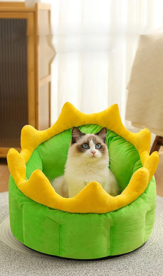 Cama Térmica Dinosaurio para Mascotas - Cálida y Acogedora para Perros Pequeños, Medianos y Grandes - Image 7