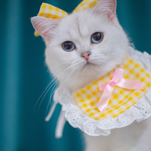Babero Pañoleta Encaje Gato Estilo Princesa con Decoración - Image 42
