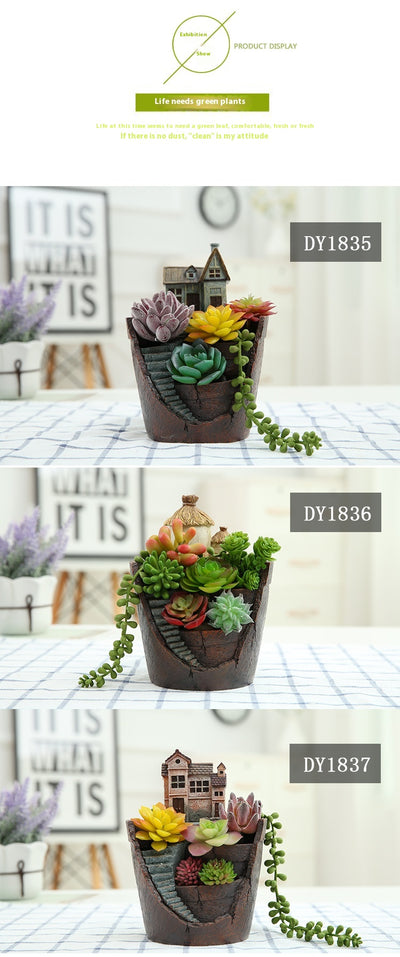 Maceta Decorativa con Suculentas - Miniatura de Jardín y Bonsái - Image 18