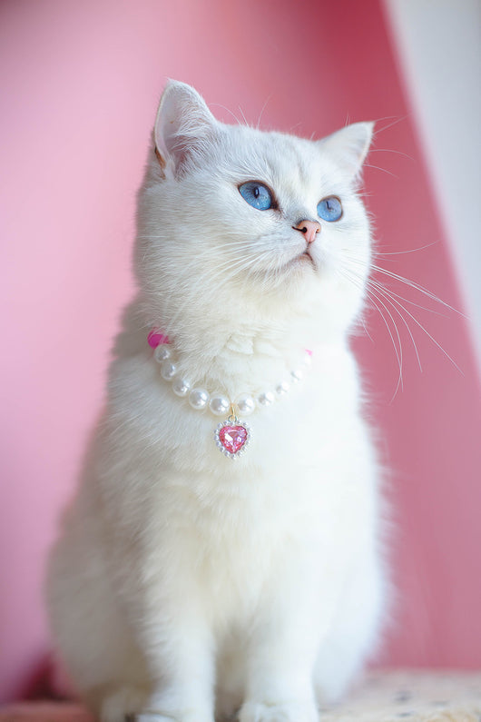 Collar de Cuentas para Gatos Amor y Conexión - Image 18
