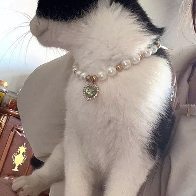 Collar de Perla Gato Celebridad de Internet - Image 4