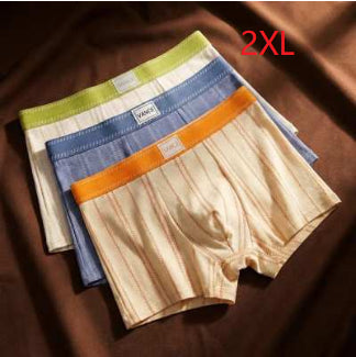 Shorts de Algodón 100% Antibacterial para Hombre - Transpirables y Absorbentes - Image 15