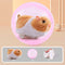 Amarillo And Blanco Hamster