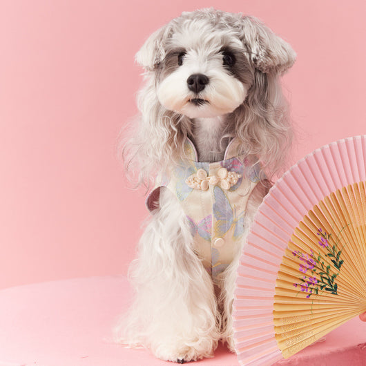 Chaleco Cheongsam Estilo Neo-Chino para Mascotas Pequeños - Schnauzer y Bichón - Image 2