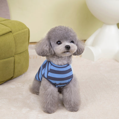 Chaleco de Moda para Mascotas - Ropa Personalizada - Image 14