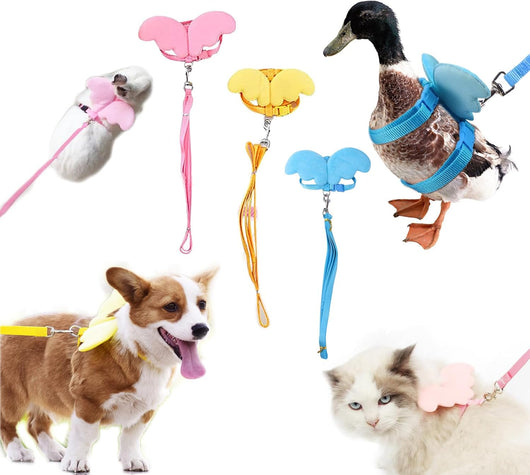 Arnés Ajustable con Alas y Cuerda de Tracción para Aves de Corral y Mascotas Pequeñas