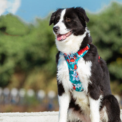 Arnés de Pecho para Perro con Correa de Mano - Diseño Camuflaje