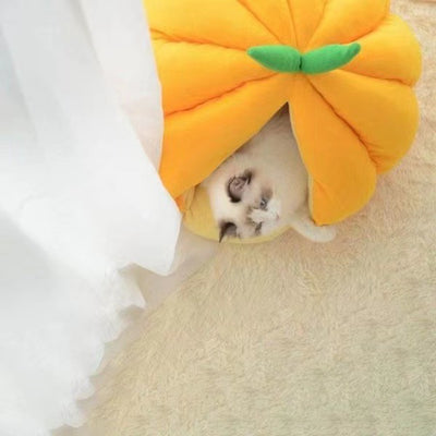 Cama Nido Cálida para Gatos - Casa Tipo Calabaza Cerrada con Bolsa de Dormir - Image 4