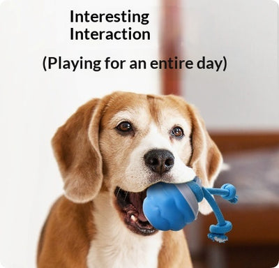 Juguete Interactivo Inteligente para Perros con Pelota Recargable - Image 7
