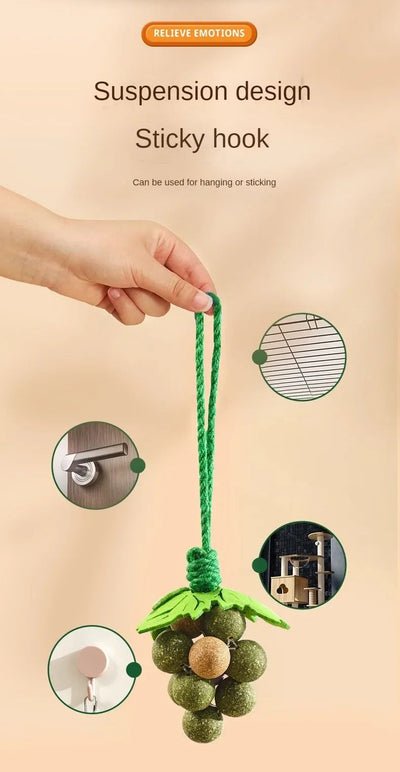 Juguetes Interactivos para Gatos con Hierba Gatera, Palitos Masticables Resistentes - Image 10