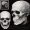 Clear Skull