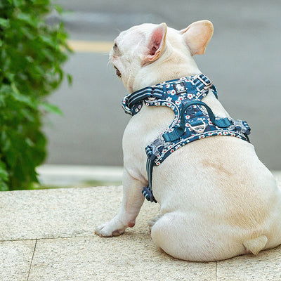 Arnés Chaleco para Pasear Perros con Correa Integrada - Image 7
