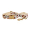 Collar Y Correa XS