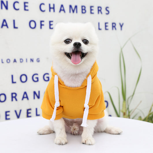 Suéter de Invierno para Perros y Gatos con Bolsillo y Cierre - Image 9