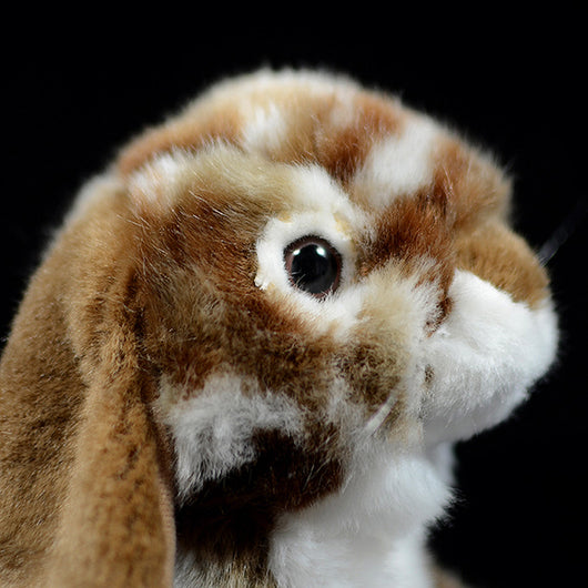 Peluche Adorable Conejo Holandés - Image 17