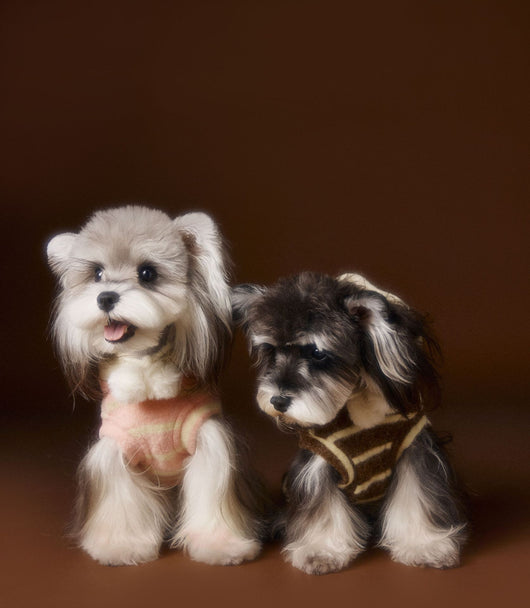 Suéter Acogedor de Galleta Felt para Mascotas - Otoño e Invierno - Image 9