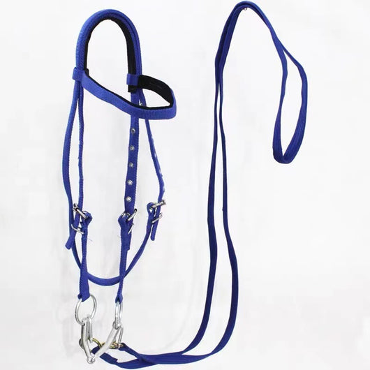 Black horse halter rope with silver metal hardware, designed for riding, displayed against a white background. - Image 6
