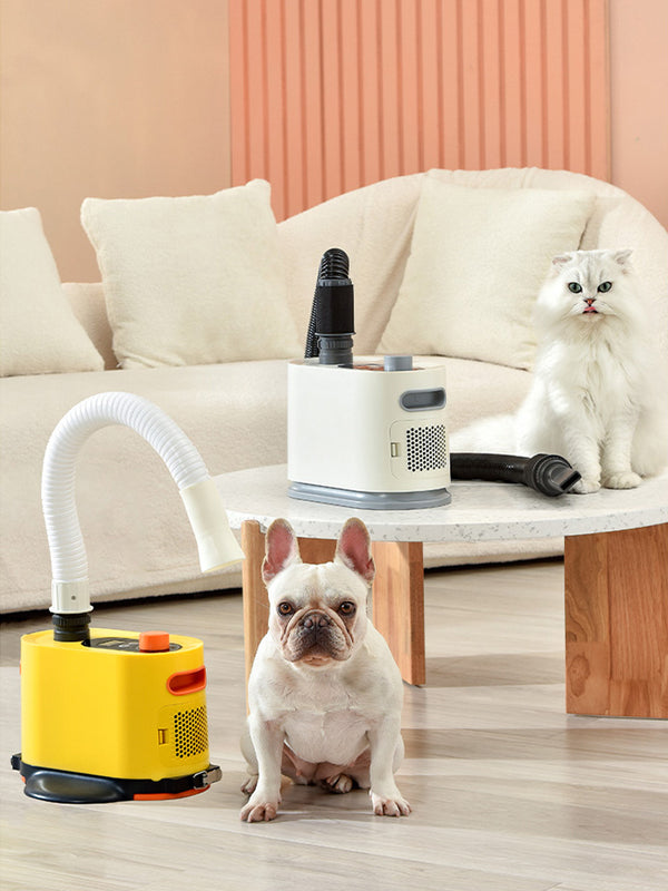 Secador de Aire Potente para Perros Grandes
