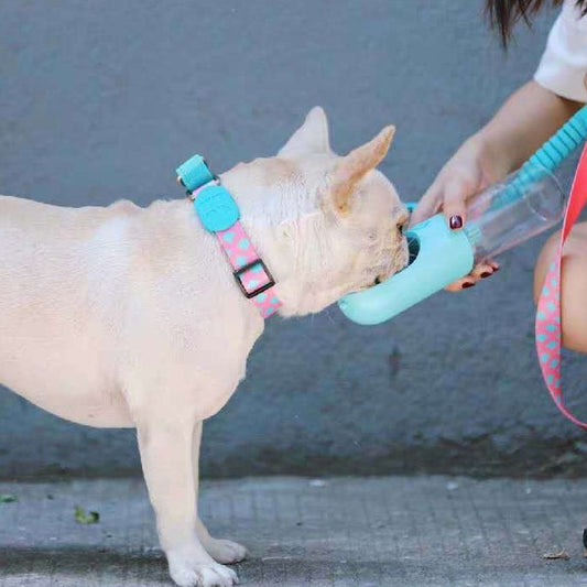 Collar Antiexplosión de Tracción para Mascotas