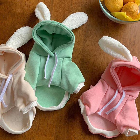Suéter Fino para Perro Matcha con Diseño Osito