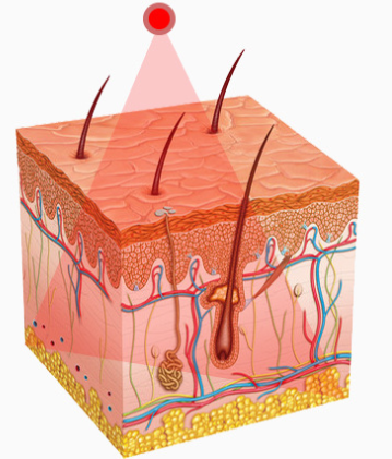 Masajeador Facial con Tecnología de Iones - Image 12