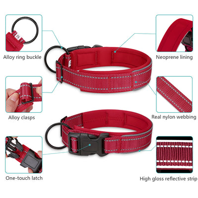 Collar Reflectante para Perros en Poliéster Resistente - Image 20