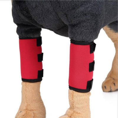 Protector de Pata para Perros - Soporte Ortopédico Ajustable - Image 12