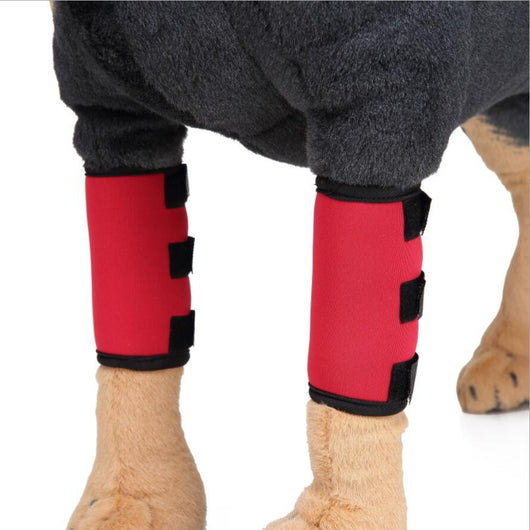 Protector de Pata para Perros - Soporte Ortopédico Ajustable - Image 12