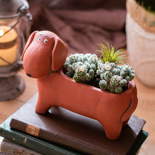 Maceta Decorativa con Diseño de Mascotas y Animales Adorables - Image 5