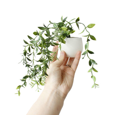 Imanes Decorativos de Suculentas para Refrigerador - Mini Plantas Magnéticas - Image 9