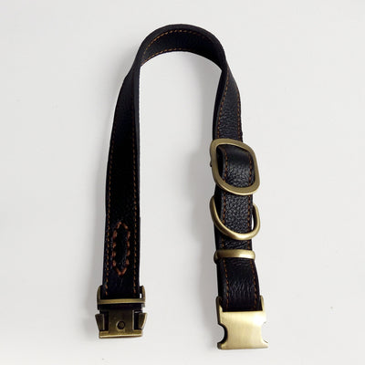 Collar de Cuero para Perros Pequeños y Medianos - Image 3