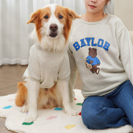 Large dog wearing a teal fleece-lined sweatshirt with 'BAYLOR' text and a bear graphic on the back. - Image 25