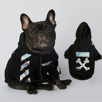 Ropa de Moda para Schnauzers - Colecciones Exclusivas